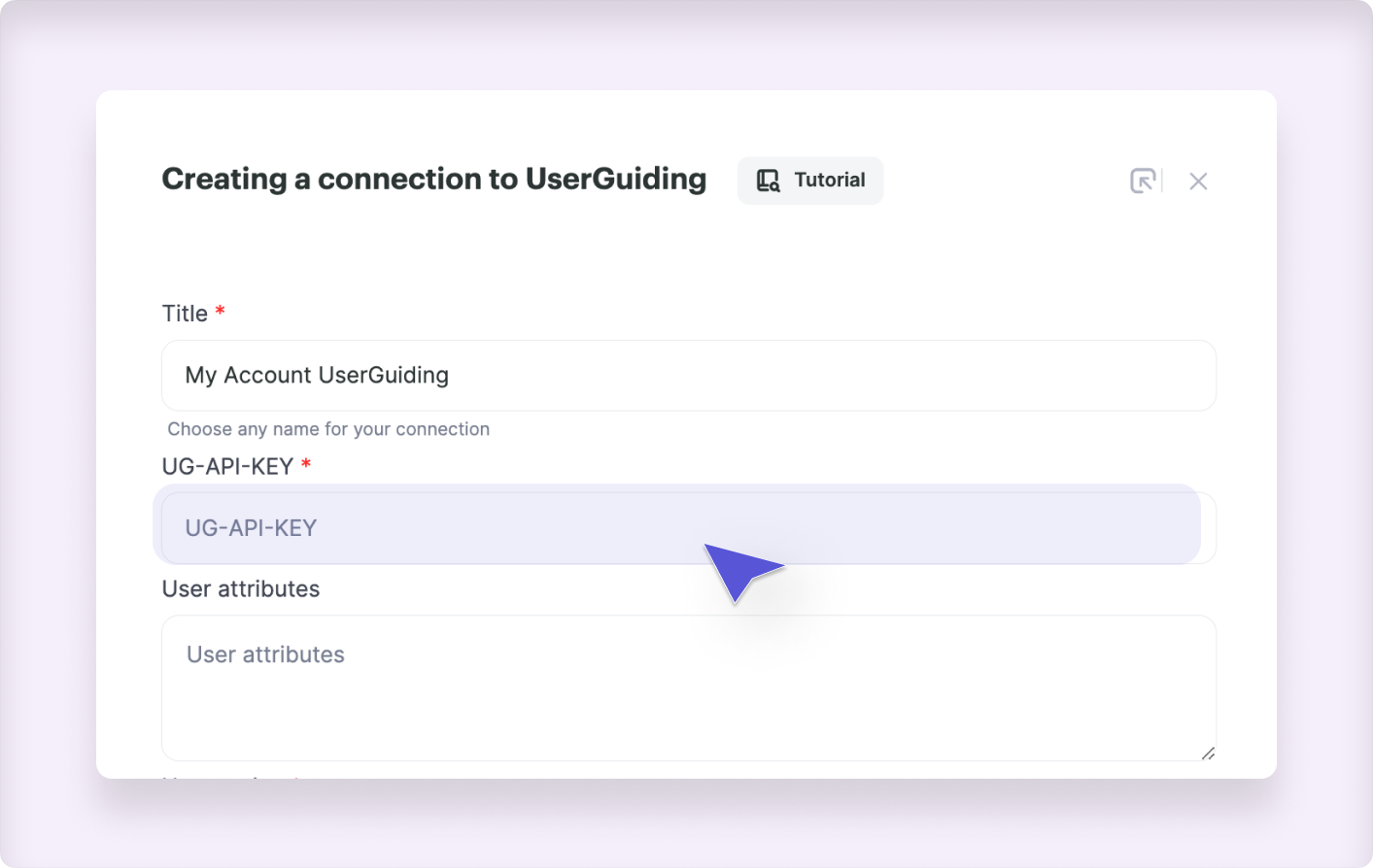 API key form